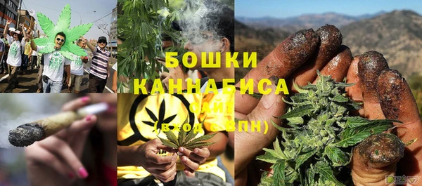 шишки Ростов